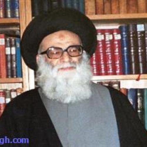 ملاقات استاد موسوی مطلق با علامه آیت الله سیدمحمدحسین حسینی طهرانی