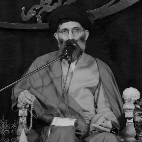 گزارش تصویری سخنرانی استاد موسوی مطلق در ولادت حضرت رقیه (س) -دورود