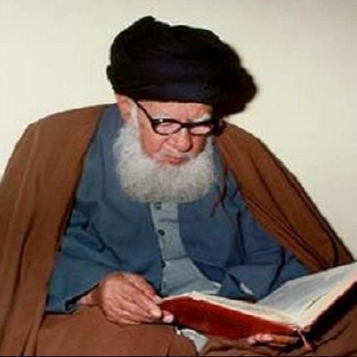نکات در ملاقات یکی از نزدیکان آیت الله بهاء الدینی 
