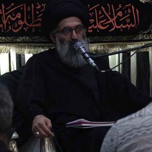 گزارش تصویری از جلسه سخنرانی حجت الاسلام موسوی مطلق در فاطمیه دوم ۱۴۰۳ _ ظهر دوم