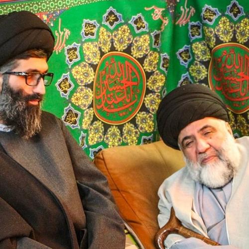 پیام تسلیت استاد موسوی مطلق در پی در گذشت عالم ربانی آیت الله سیدابوالقاسم حسینی سیستانی